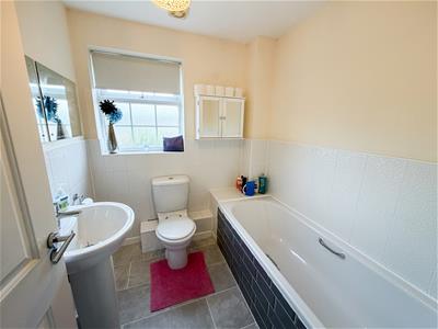 Picture 14